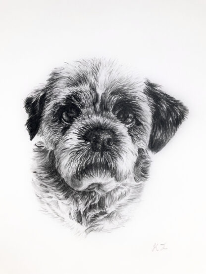 Customised Pet Portrait