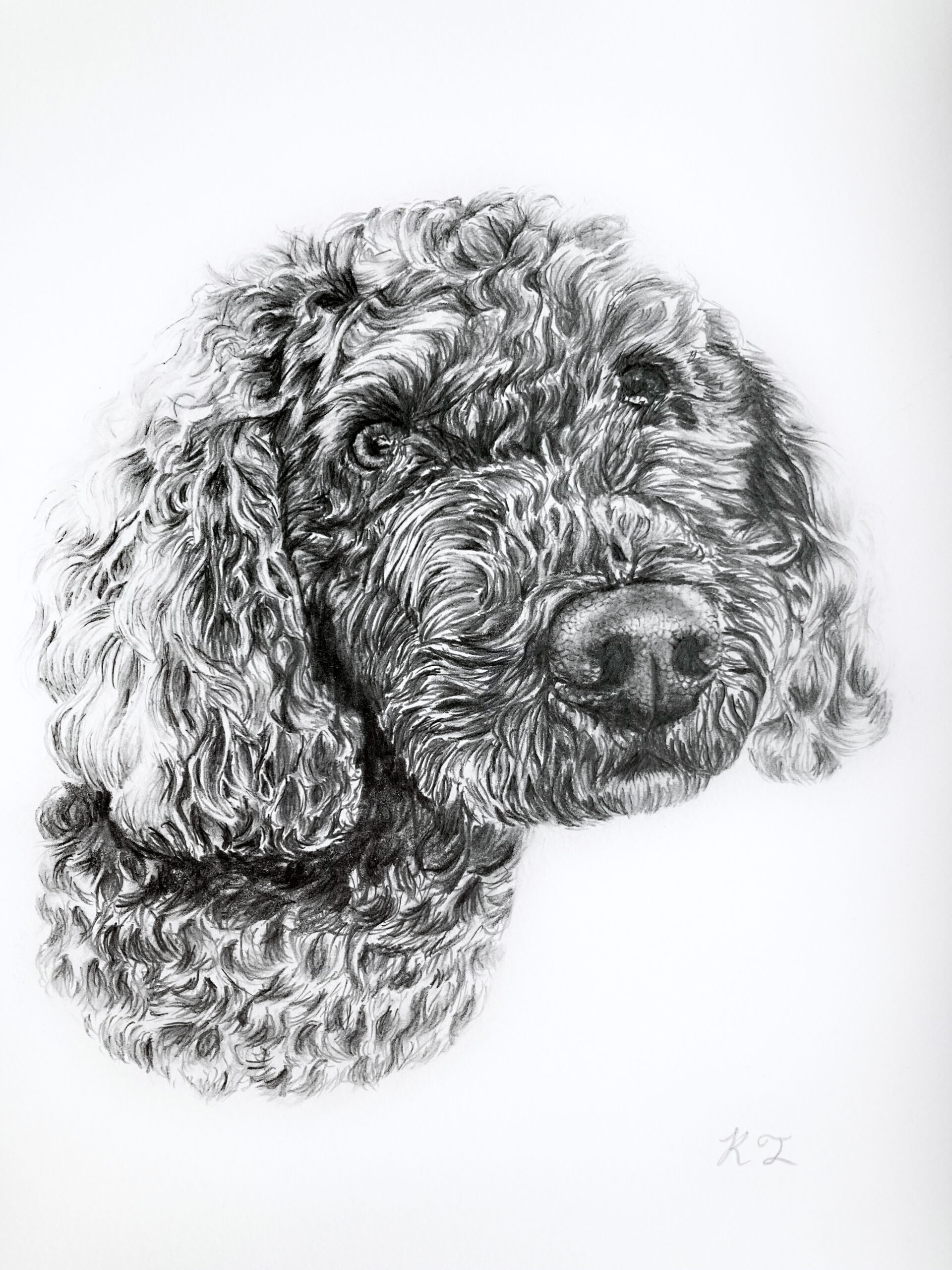 Pet Portrait - Image 10