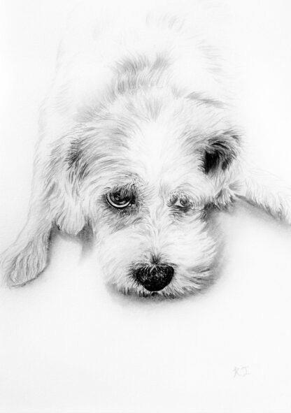 Customised Pet Portrait - Image 3