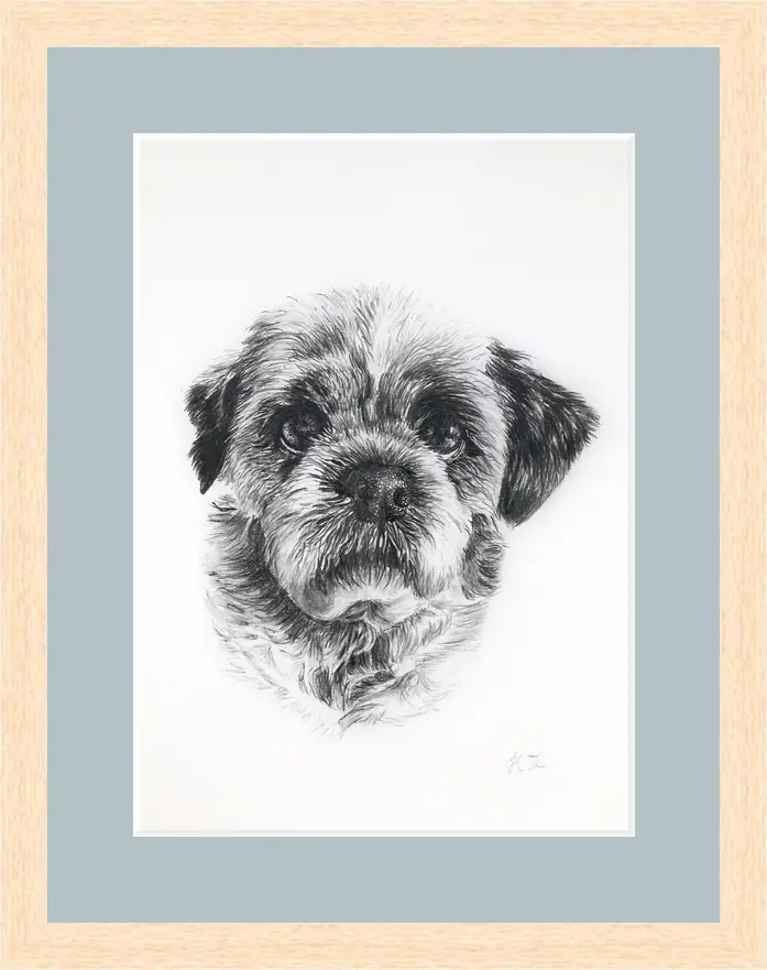 Pet Portrait - Image 8