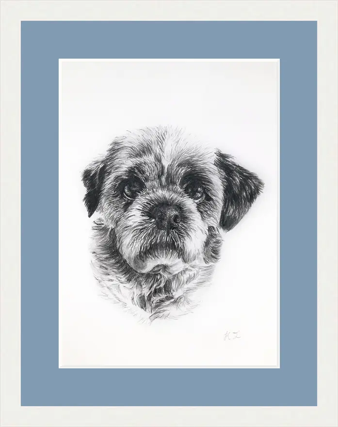 Pet Portrait - Image 9
