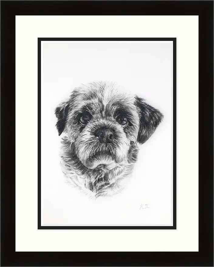 Pet Portrait - Image 7