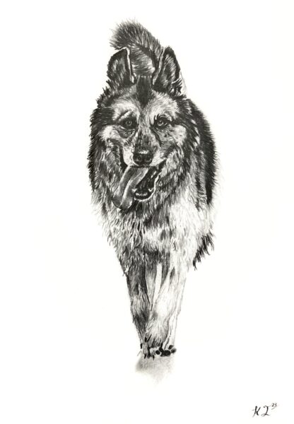 Customised Pet Portrait - Image 6