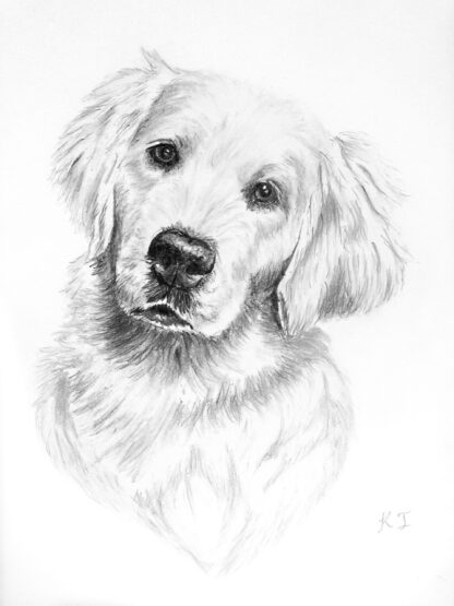 Customised Pet Portrait - Image 2