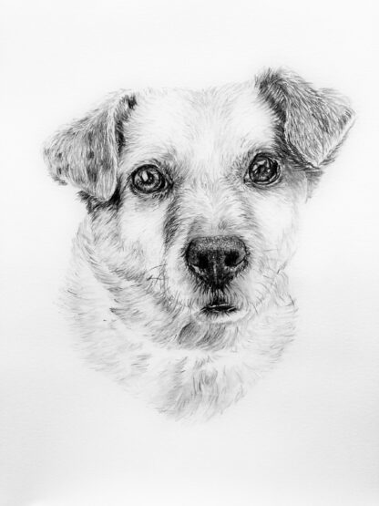 Customised Pet Portrait - Image 5