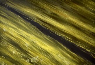 'Hidden tranquility'